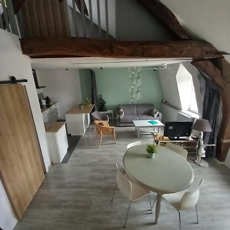 Le Regard De Mona Lisa Apartment Amboise Luaran gambar
