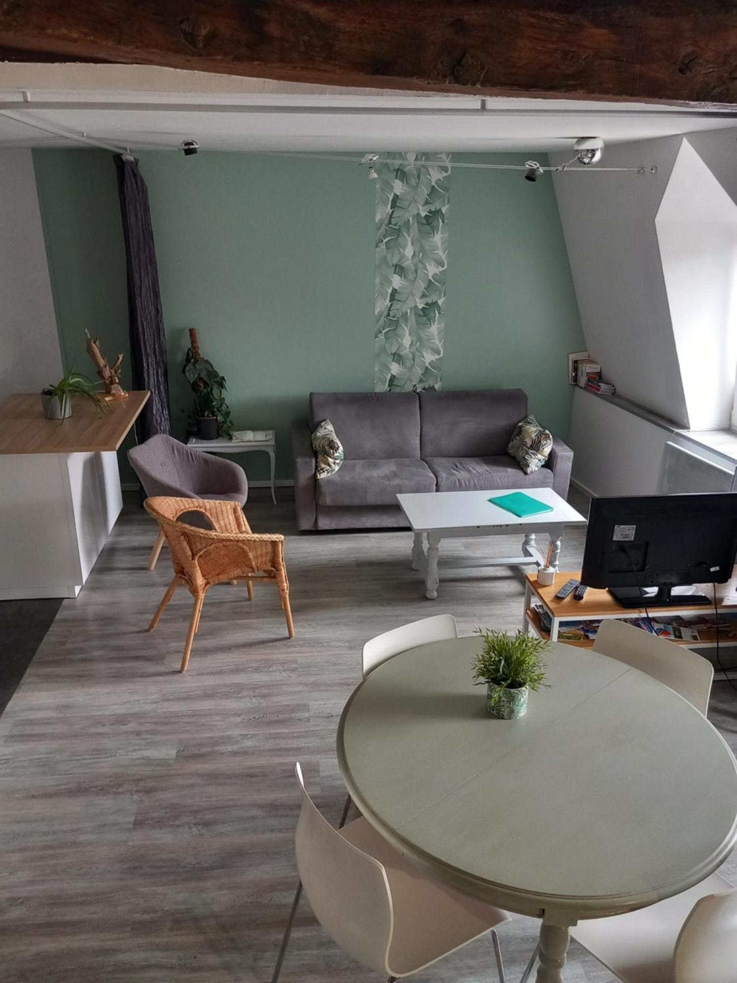 Le Regard De Mona Lisa Apartment Amboise Luaran gambar